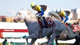 【府中牝馬S見どころ】GI・3勝馬ソダシがマイルCSへ向け始動