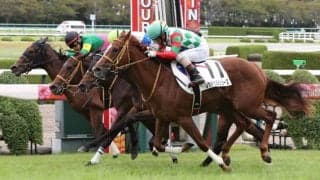 【新馬/阪神5R】ハーツクライ産駒 レッドヒルシューズがデビューV