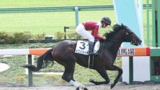 【新馬/東京4R】ネロ産駒 イニッツィオがデビューV