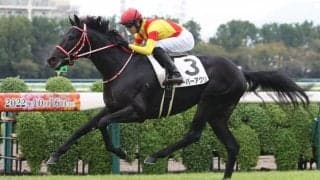 【新馬/阪神4R】リオンディーズ産駒 スーパーアグリがデビューV