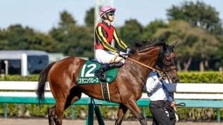 名門牝系の期待背負うオークス2着馬 秋華賞で悲願の初GI制覇へ