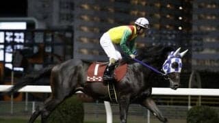 デビュー無敗のスペシャルエックスと川崎3連勝中のヒーローコールが激突/川崎・鎌倉記念注目馬