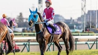 【東京ハイジャンプ想定騎手】オジュウチョウサンは石神深一騎手、ホッコーメヴィウスは黒岩悠騎手