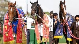 昨年のダービー馬と今年の皐月賞馬が直接対決 有力3歳馬が古豪に挑む/天皇賞・秋の出走想定馬一覧