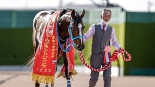 【東京ハイジャンプ予想オッズ】JGI・9勝馬オジュウチョウサンが予想1番人気