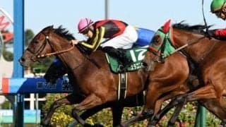 秋華賞はキングカメハメハのラストクロップを狙う。注目度の低いディープインパクト産駒も面白い存在