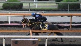 フェーングロッテン＆ボルドグフーシュ、菊花賞1週前追い切り速報/栗東トレセンニュース
