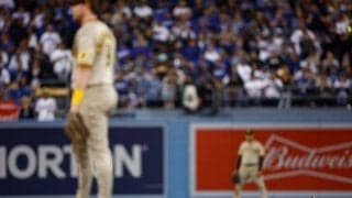 【MLB 地区S】ダルビッシュ登板試合で珍事　特大カモがグラウンドに“乱入”、場内大盛り上がり