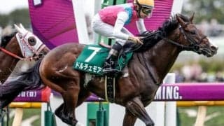 【次走】ドルチェモアは朝日杯FSへ ルーラーシップ産駒5年ぶりのGI制覇なるか