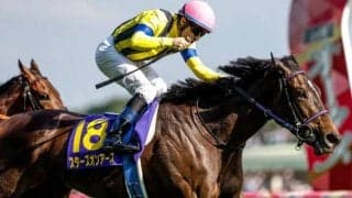【秋華賞出走馬・騎手確定】スターズオンアース＆ルメール騎手、スタニングローズ＆坂井瑠星騎手など16頭