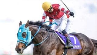 【東京ハイジャンプ出走馬・騎手確定】オジュウチョウサン＆石神深一騎手、ホッコーメヴィウス＆黒岩悠騎手など12頭