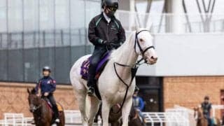 【府中牝馬S出走馬・騎手確定】ソダシ＆吉田隼人騎手、アンドヴァラナウト＆福永祐一騎手など15頭