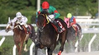 【園田・兵庫若駒賞結果】ベラジオソノダラブが元返しの単勝人気に応えて無傷3連勝