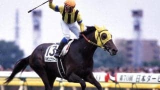 ネオユニヴァースのダービー優勝時の鞍が出品！ ノーザンホースパークチャリティオークションが「ヤフオク！」で開催