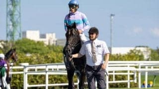 ナムラクレアはシルクロードSから始動 来年見据え今年は休養へ