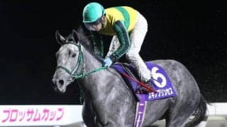 【門別・エーデルワイス賞出走予定馬】スギノプリンセス、スティールグレイスら