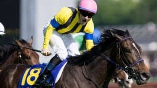 【秋華賞】出走馬の調教後の馬体重