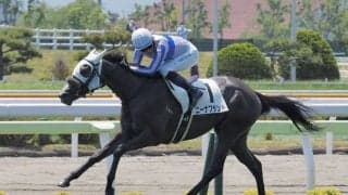 【エーデルワイス賞】JRA出走予定馬