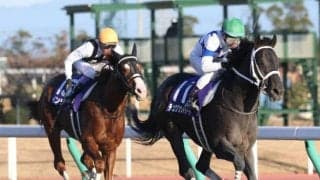 チュウワウィザードが競走馬登録抹消