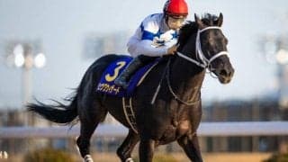 チュウワウィザードが引退、優駿SSで種牡馬に 総獲得賞金は地方海外含め10億円超