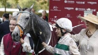 年内引退のアルピニスタはジャパンC参戦に意欲 将来的にはディープインパクト産駒との交配も