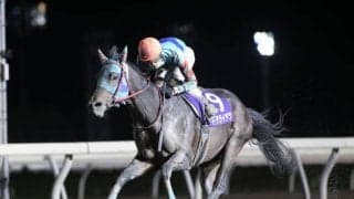 【門別・瑞穂賞結果】8番人気ドテライヤツが大外から突き抜け4馬身差圧勝