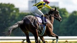 【秋華賞枠順確定】スターズオンアースは5枠9番、スタニングローズは4枠7番