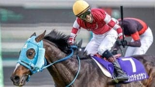 【東京ハイジャンプ枠順確定】オジュウチョウサンは6枠8番、ホッコーメヴィウスは8枠12番