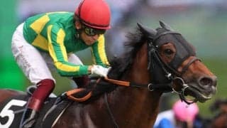 GI馬としのぎを削った名脇役がターフを去る 脚部不安で復帰叶わず