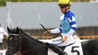 兄姉にGI馬3頭 『大魔神』佐々木主浩氏の所有馬が重賞へ