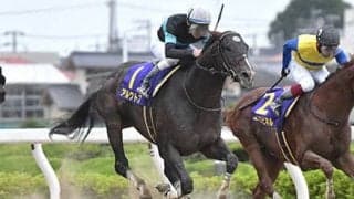 アルクトスが競走馬登録抹消