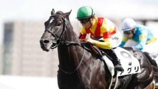 無傷6連勝でG1を2勝した名スプリンターを2023年より種牡馬導入