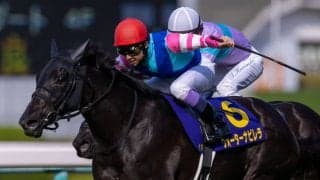 【武豊日記】今週末は秋華賞