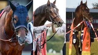 3歳マイル王者が始動 秋のマイル王者狙う快速馬18頭が富士Sに参戦予定