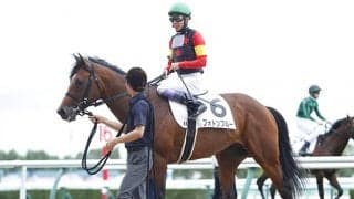 未完の大器を兄に持つ良血馬は黄菊賞を視野に 新馬戦は武豊騎手が評価のコメント