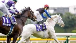 【今日の注目ポイント】府中牝馬Sでソダシが秋初戦、阪神でダノンスコーピオン全弟デビューなど