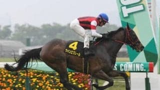 秋華賞は二冠馬スターズオンアースら既成勢力が優位も、唯一のディープ産駒から激走ムード漂う