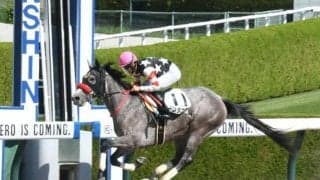【阪神4R新馬戦結果】ブリタニアが4馬身差の圧勝で初陣を飾る