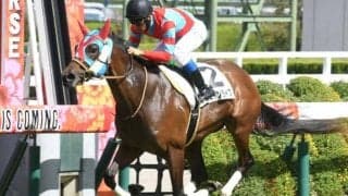 【阪神5R新馬戦結果】外国産馬エイムインライフが抜け出してデビュー勝ち