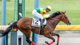 【門別・エーデルワイス賞枠順確定】スティールグレイスは3枠6番、アサクサロックは5枠9番
