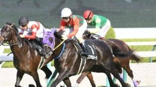 【紫菊賞結果】6番人気コスモサガルマータが追い込みを決めて連勝