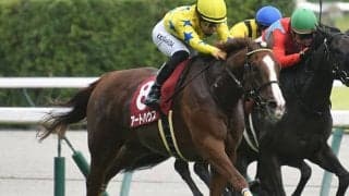 【秋華賞予想】オークスの内容が明暗を分ける!? 前走快勝も疑問符のつく馬とは