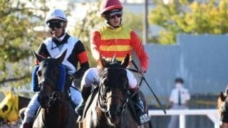 【太秦S結果】ハギノアレグリアスが人気に応えて通算5勝目