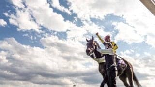 【秋華賞前日オッズ】二冠馬スターズオンアースが3.3倍で1番人気、3頭が5倍を切る混戦模様