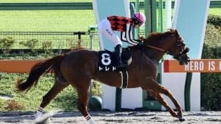 【プラタナス賞】断然人気のトレドが7馬身差圧勝