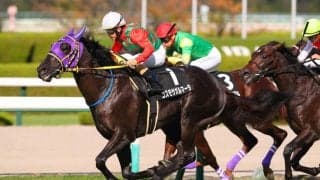 【紫菊賞】出遅れコスモサガルマータが差し切る！ダノントルネードは2着