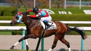 【新馬/阪神5R】ジャンダルムの姪 エイムインライフがデビューV