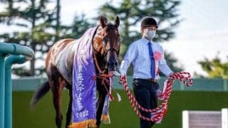 【秋華賞予想】史上7頭目の牝馬三冠か それとも春の雪辱なるか