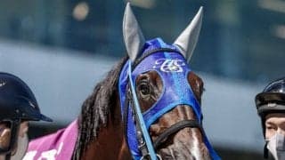 【東京HJ予想】障害界の絶対王者が始動 オジュウチョウサンに待ったをかける馬は現れるか