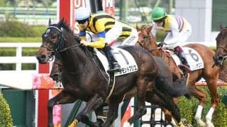 【阪神5R新馬戦結果】良血馬ルモンドブリエが間を割って抜け出す